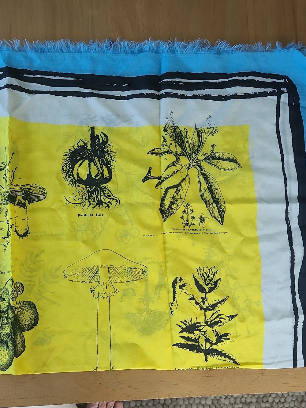 Madewell 1937 Botanical Print  Fringed Cotton Scarf.